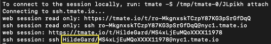 Once gaining an initial foothold into a container, the malware may establish a tmate session.